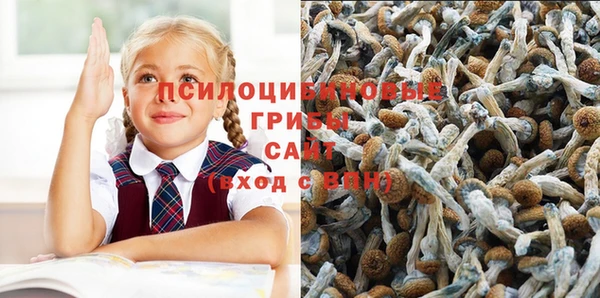 тгк Абинск