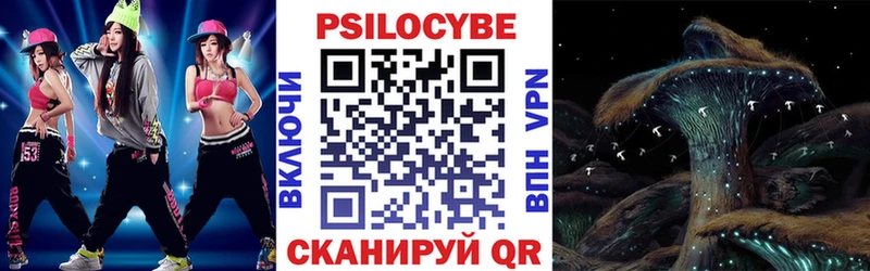 OMG ссылка  Яхрома  Галлюциногенные грибы Cubensis 